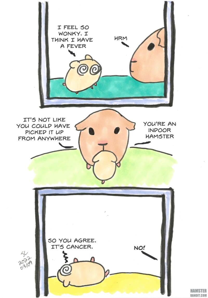 Comic. A hamster talks to a guinea pig who is his mother about how he feels sick. The guinea pig expresses confusion on how the hamster got sick as it never goes outside. The hamster decides it's cancer. The guinea pig loudly disagrees.