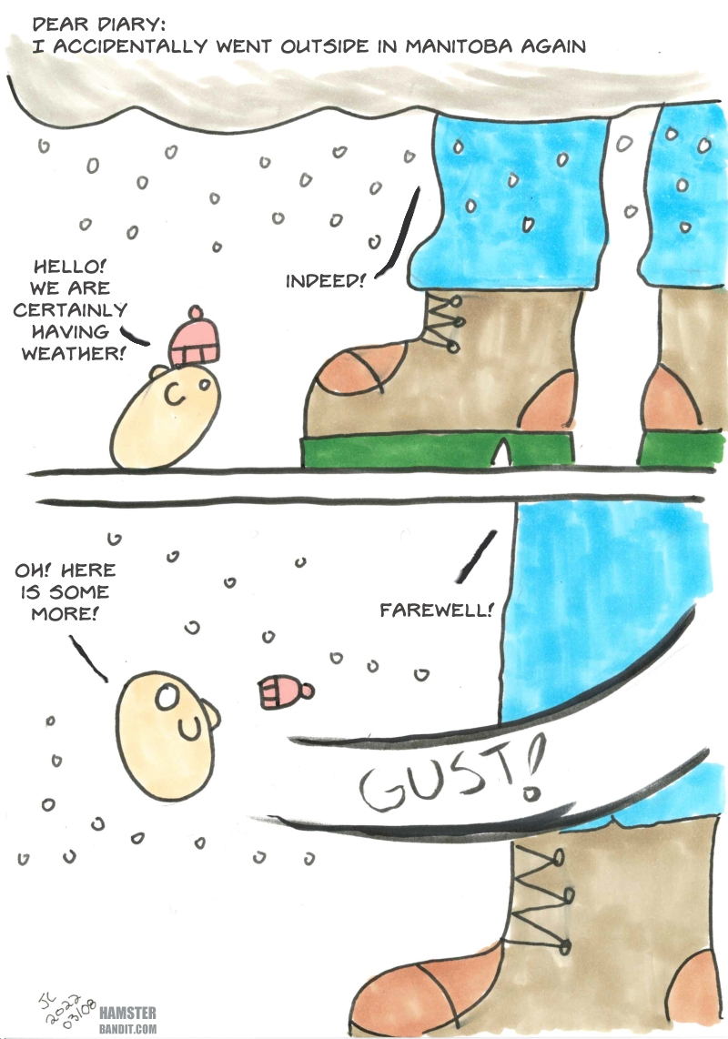 Comic. A hamster in an ill-fitting toque greets a man. They discuss the weather. The weather blows the hamster away and they say their goodbyes.